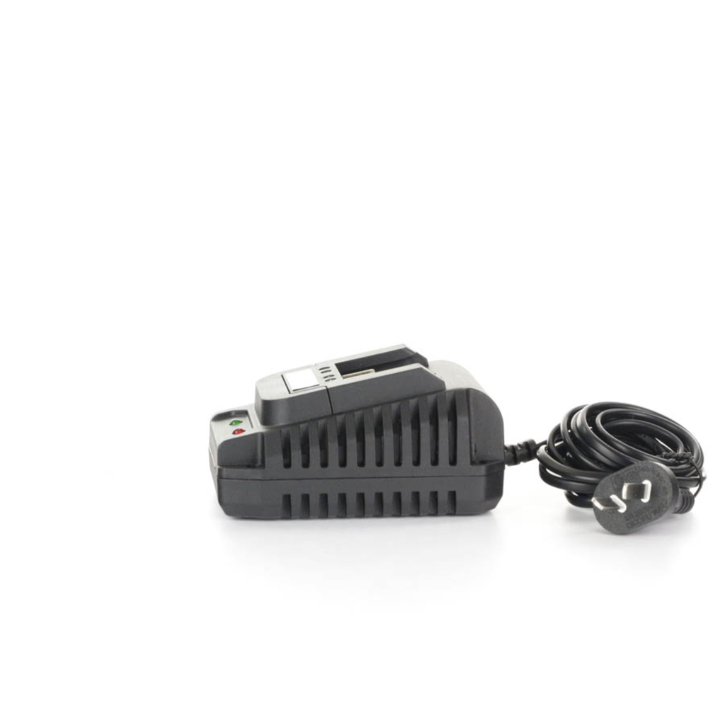 Cargador de Bateria Ion de Litio 2000/4000mAh