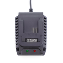 Cargador de Bateria Ion de Litio 2000/4000mAh