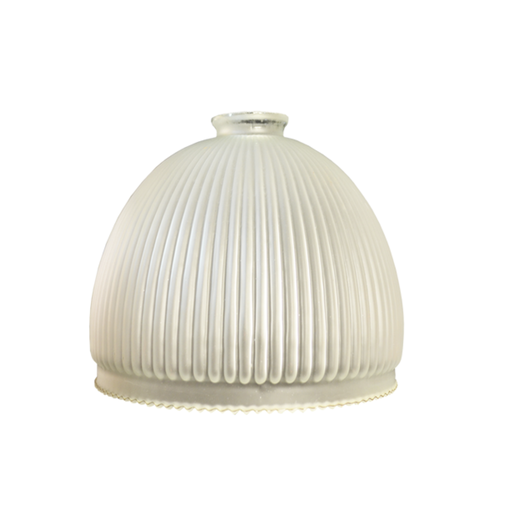 [LPA27212] CANELA 13 V/C ESM