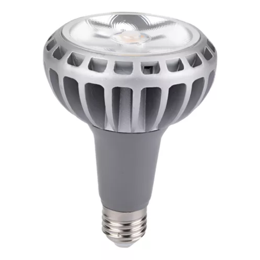[TBCE27-COB-30WW] Dis-LAMPARA MASTER LED 30W LUZ CALIDA